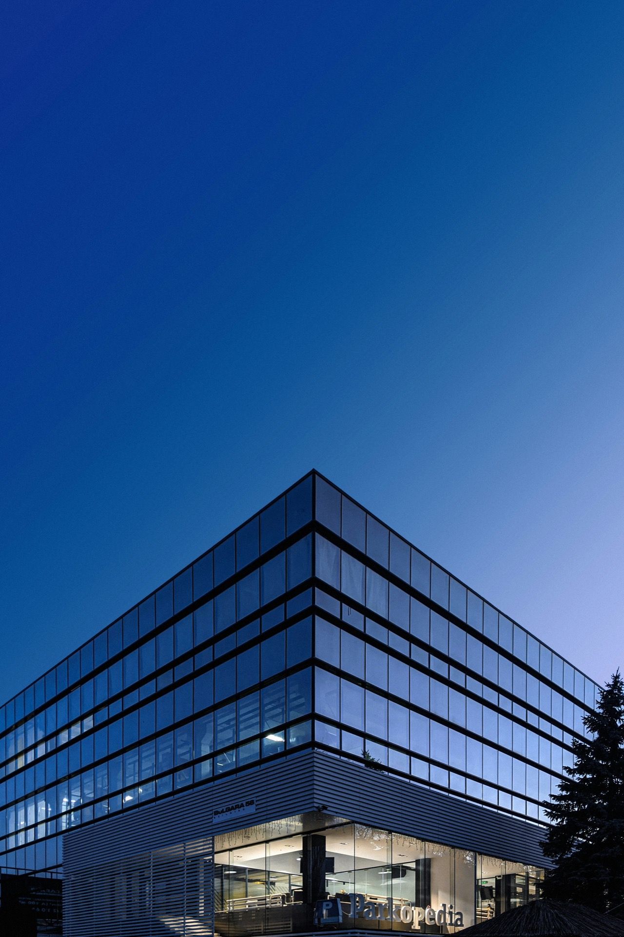 Growth Marketing Strategy for a Professional Services SME